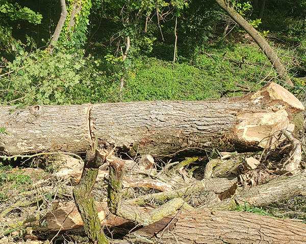 Log, lumber and wood product recycling and repurposing services from Montgomery Sawmill located in Montgomery, Minnesota.